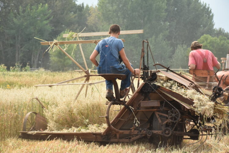 Prevent Hearing Loss in Agricultural Jobs
